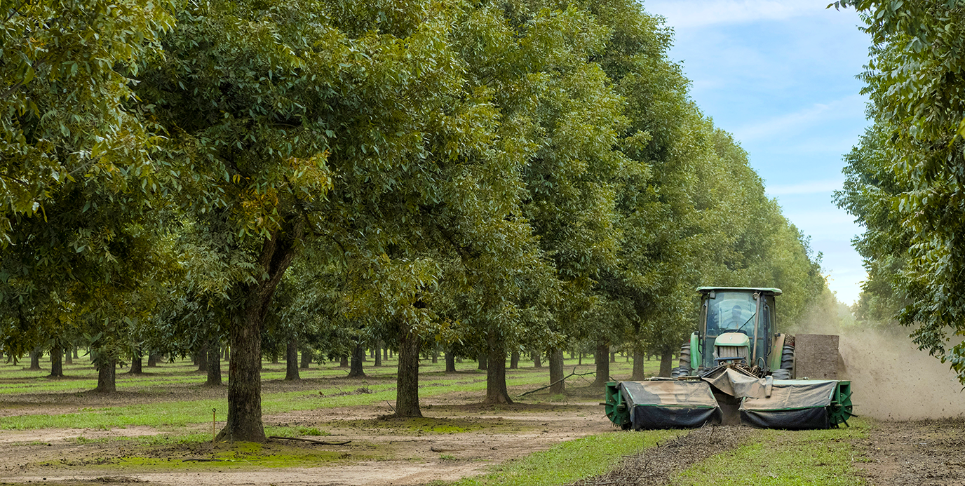 PECAN POWER