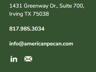 AP Footer Settings