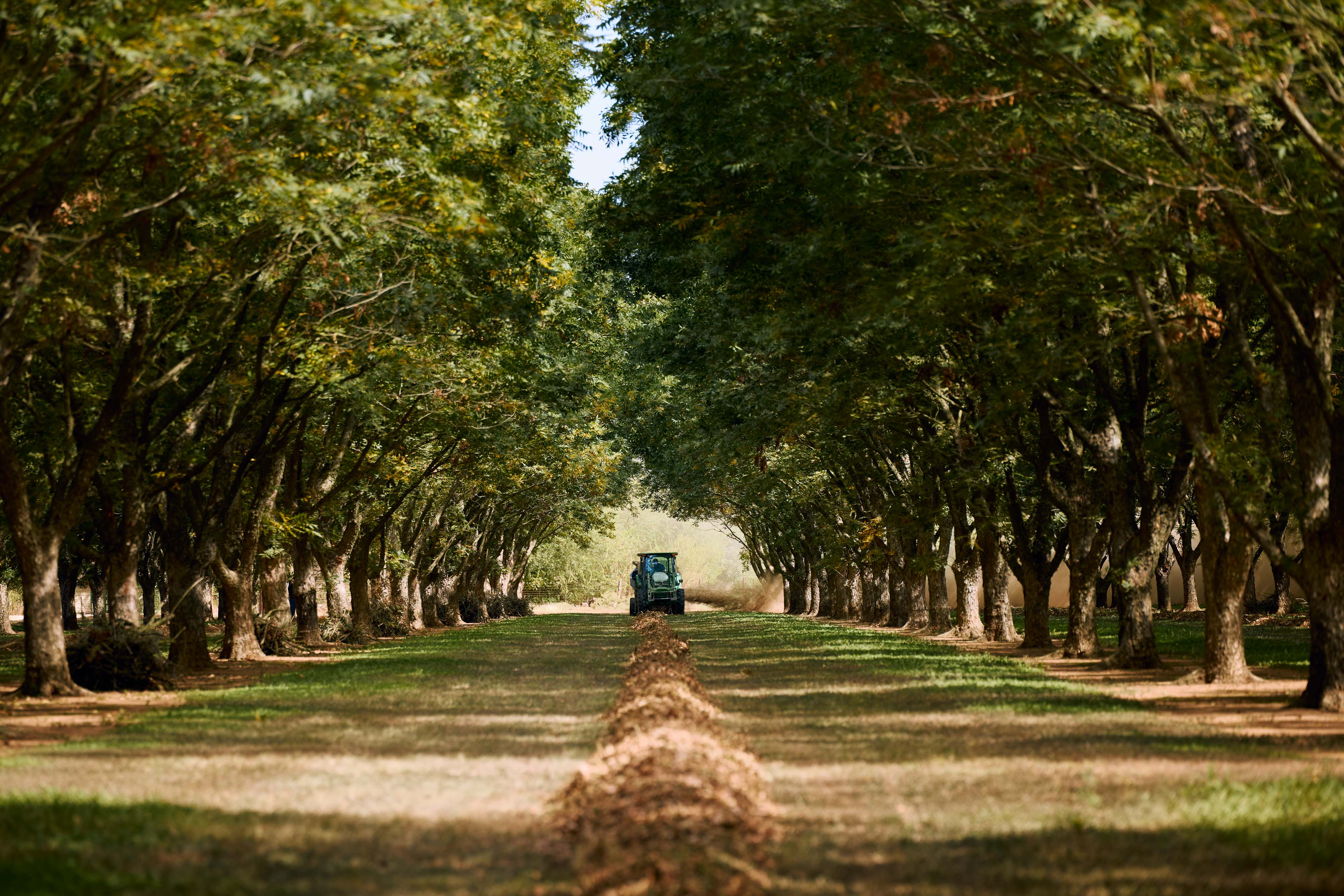 Harvest image w Tractor